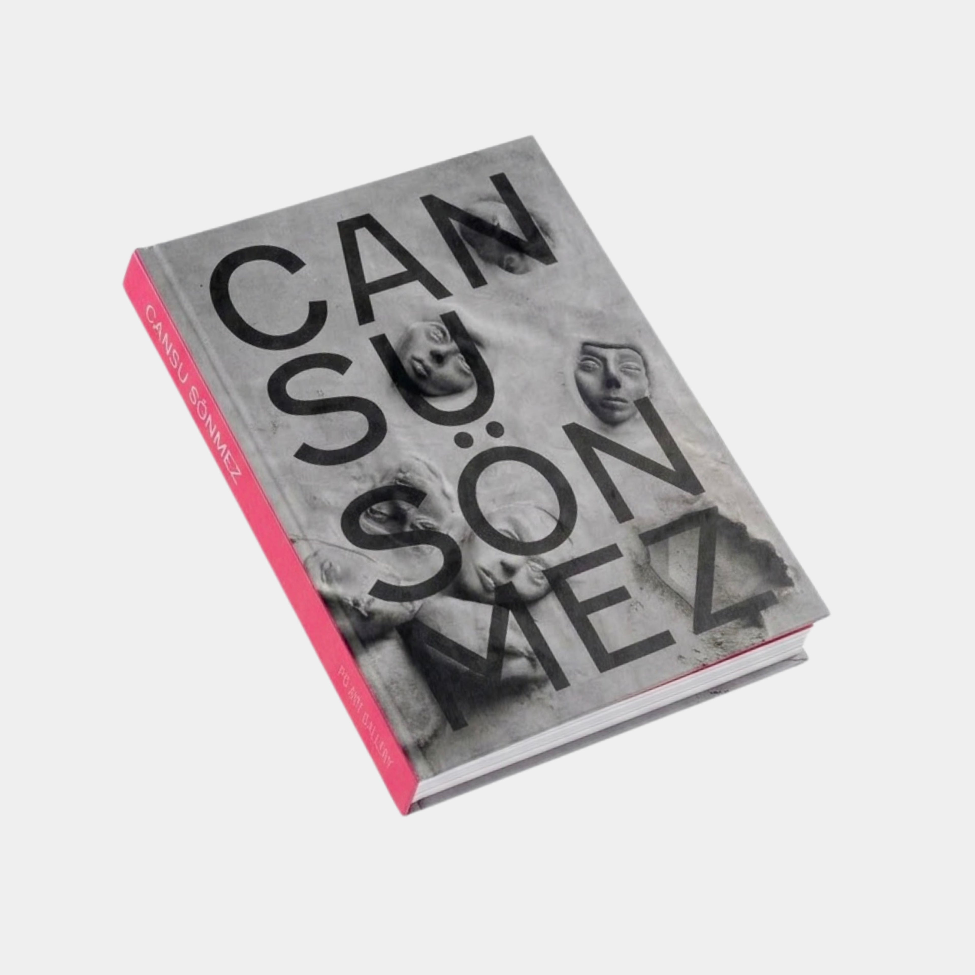 Cansu Sönmez: 2013 - 2025