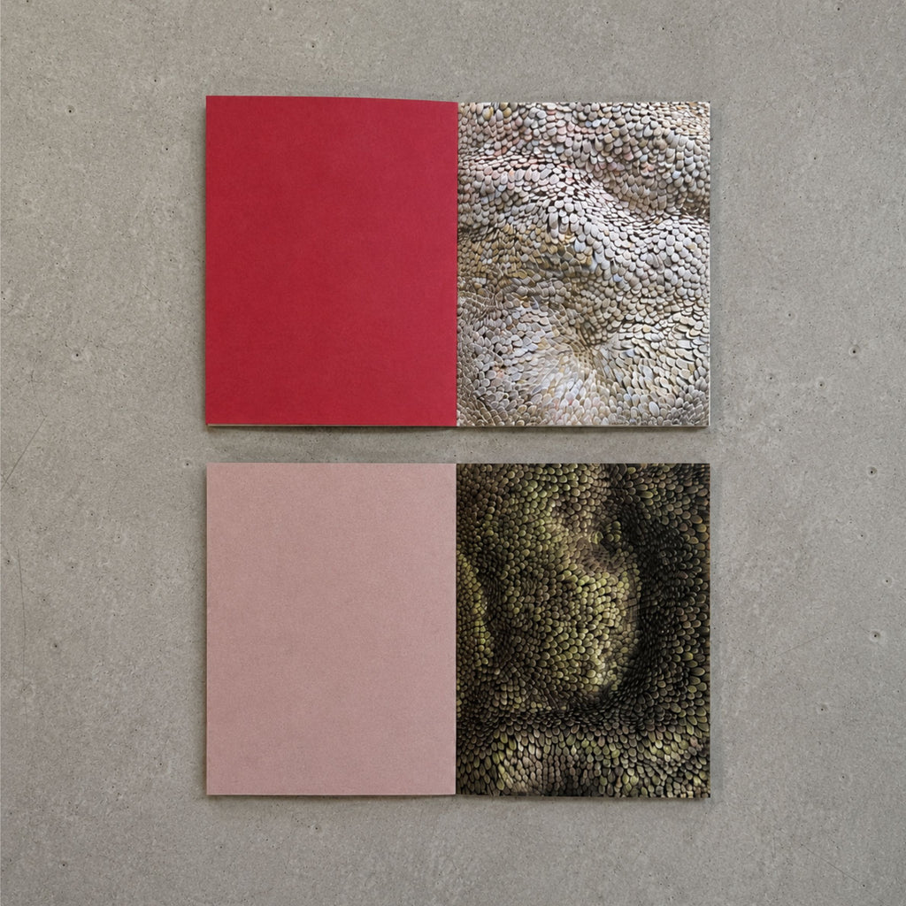 Snob Pocketbook Edition No. 2 - Sevim Kaya