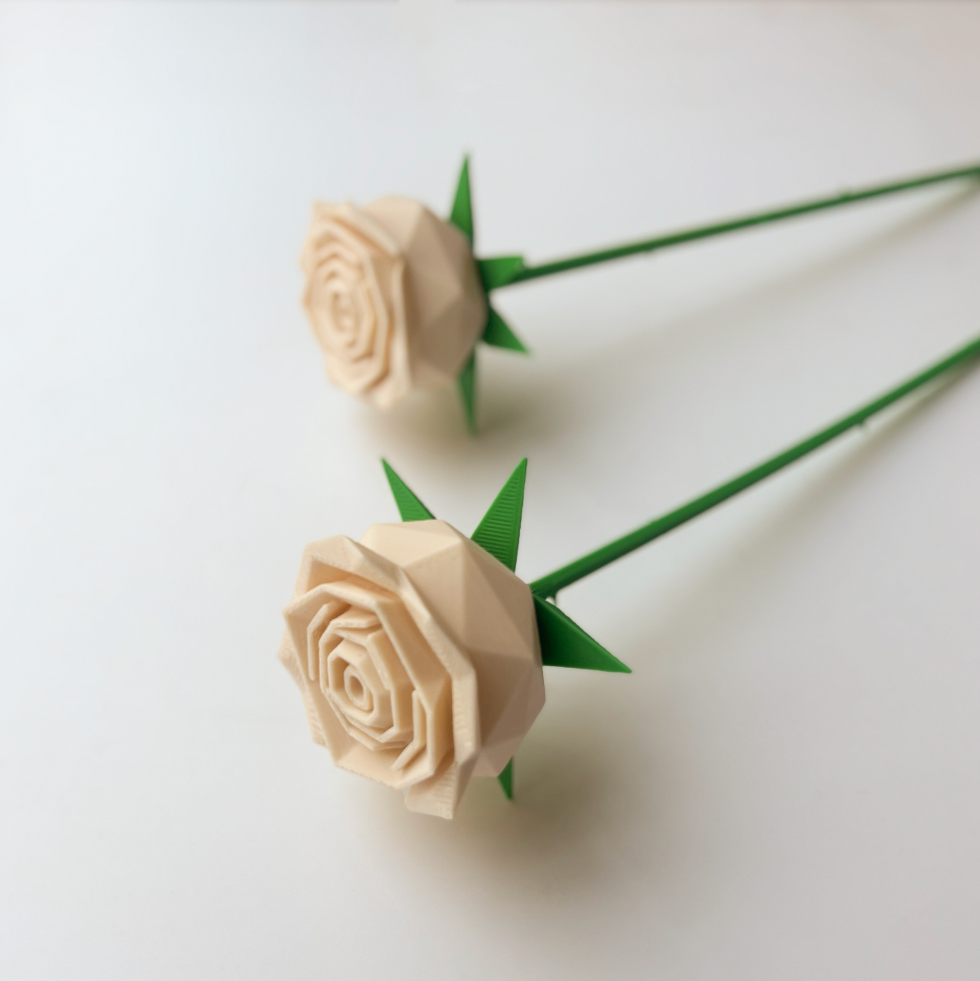 Rose Flower - Formasupra