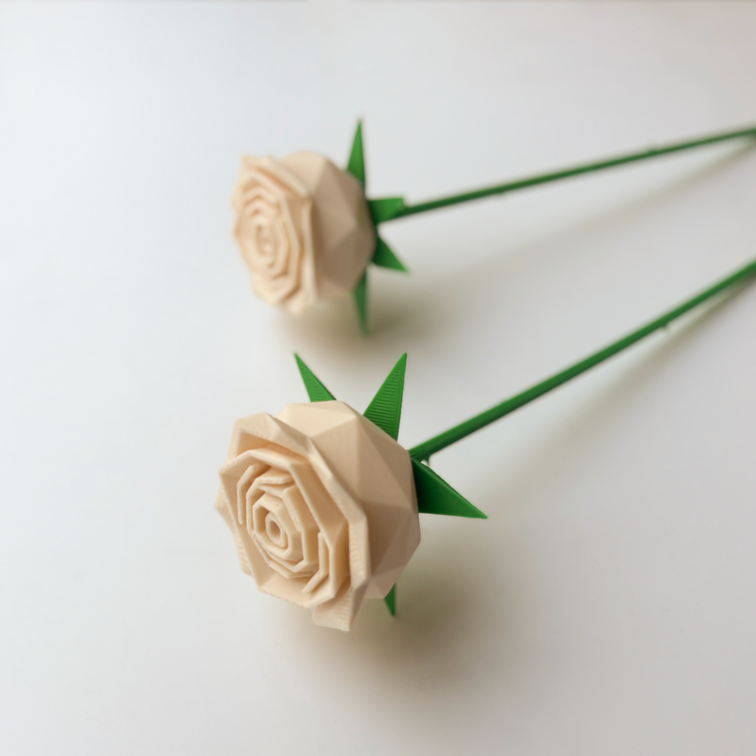 Rose Flower - Formasupra