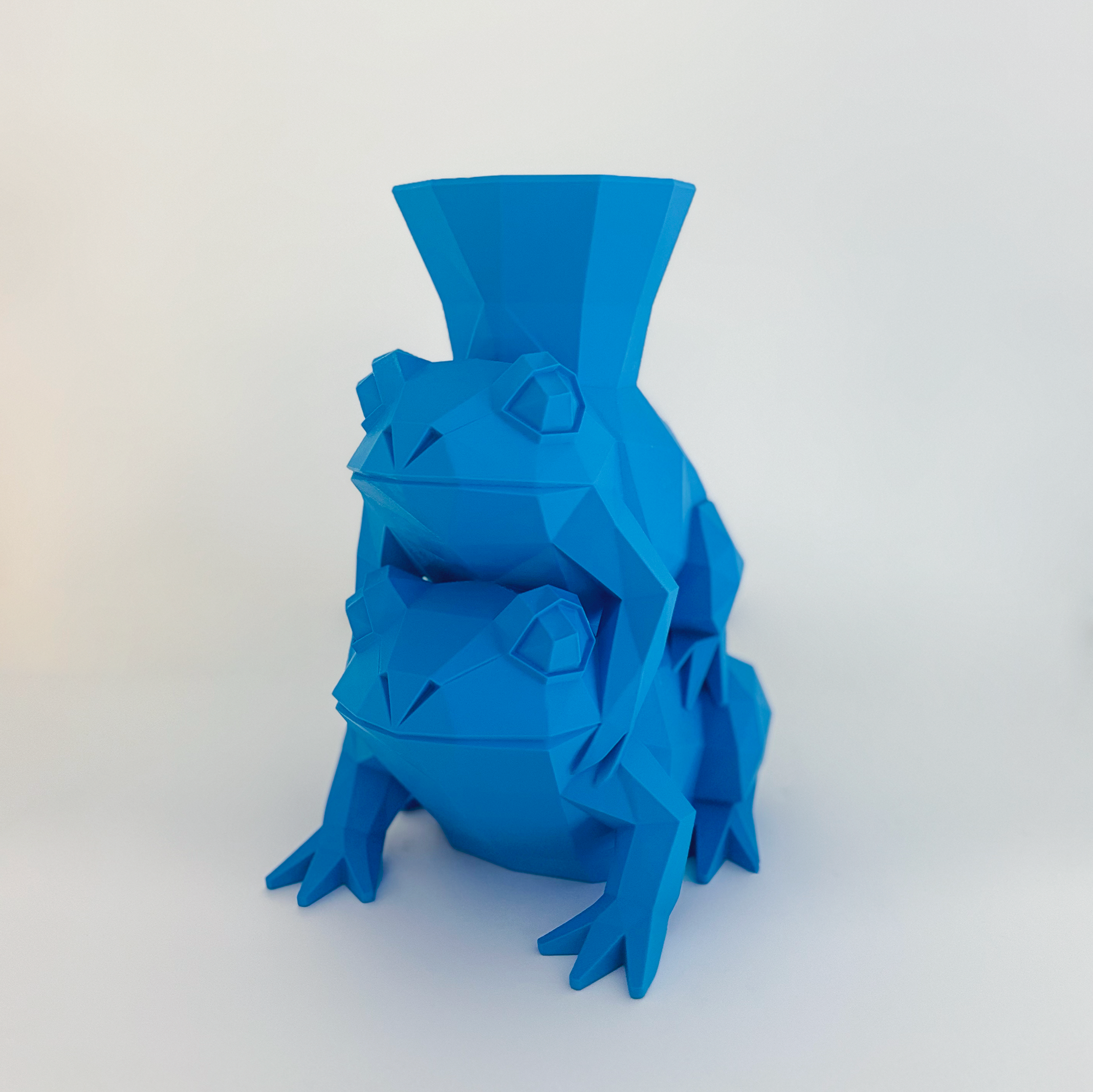 Domaniç Vase - Formasupra