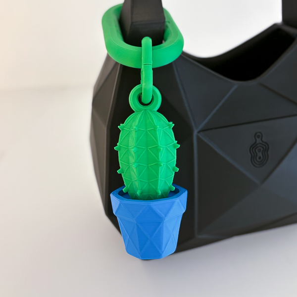 Cactus Charm - Formasupra