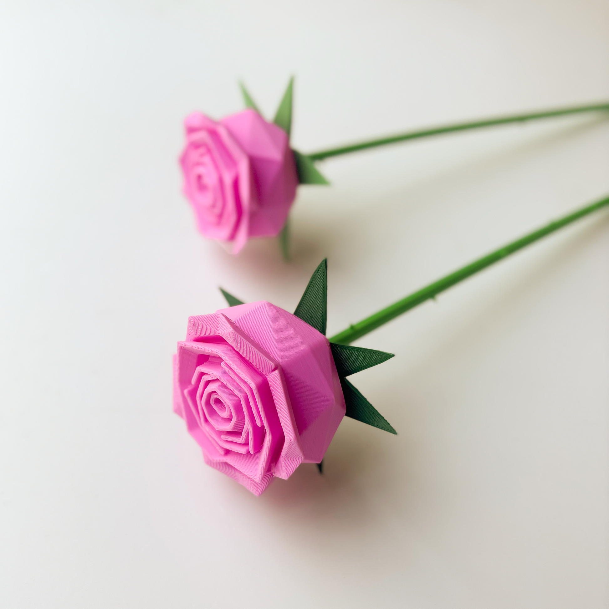 Rose Flower - Formasupra