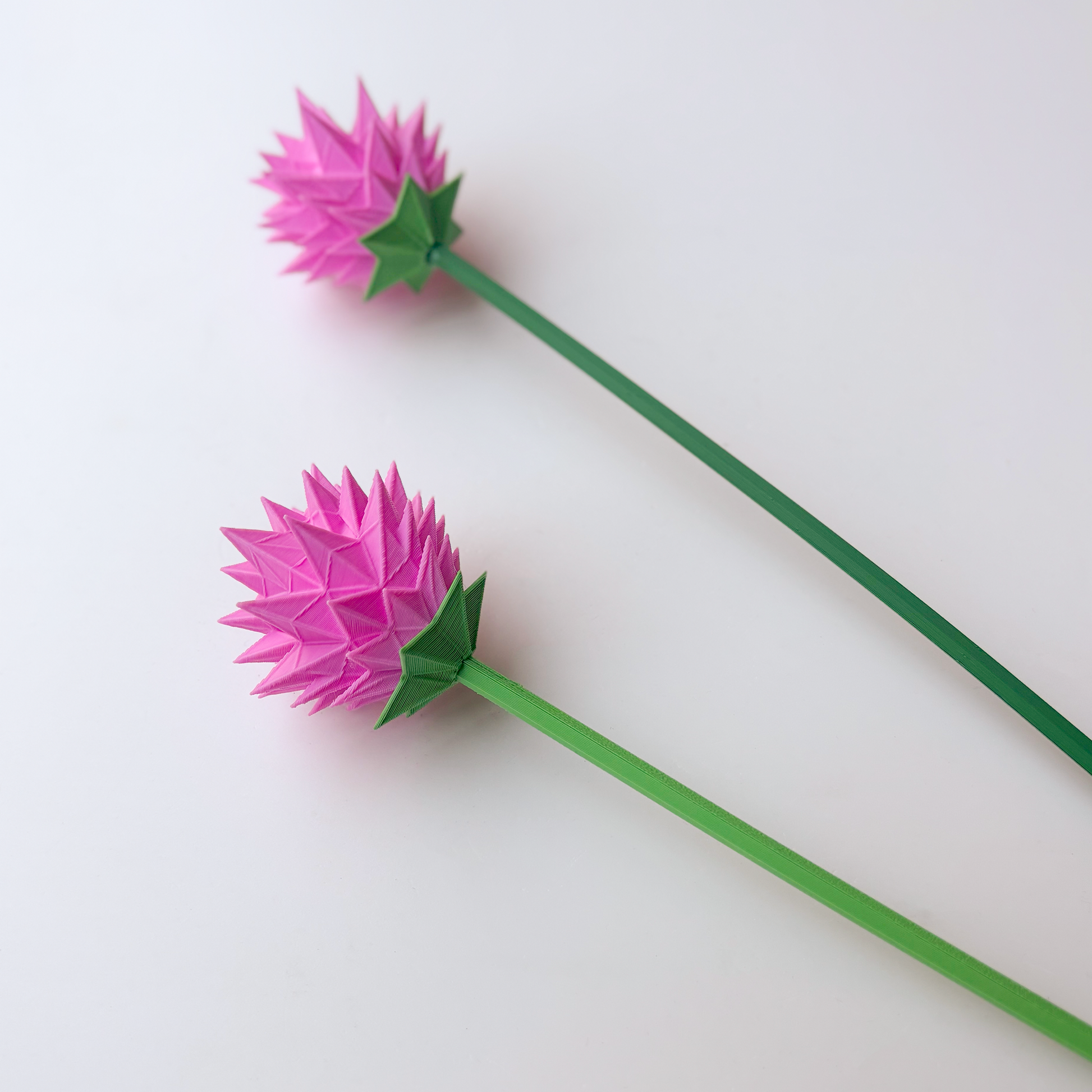 Thistle Flower - Formasupra