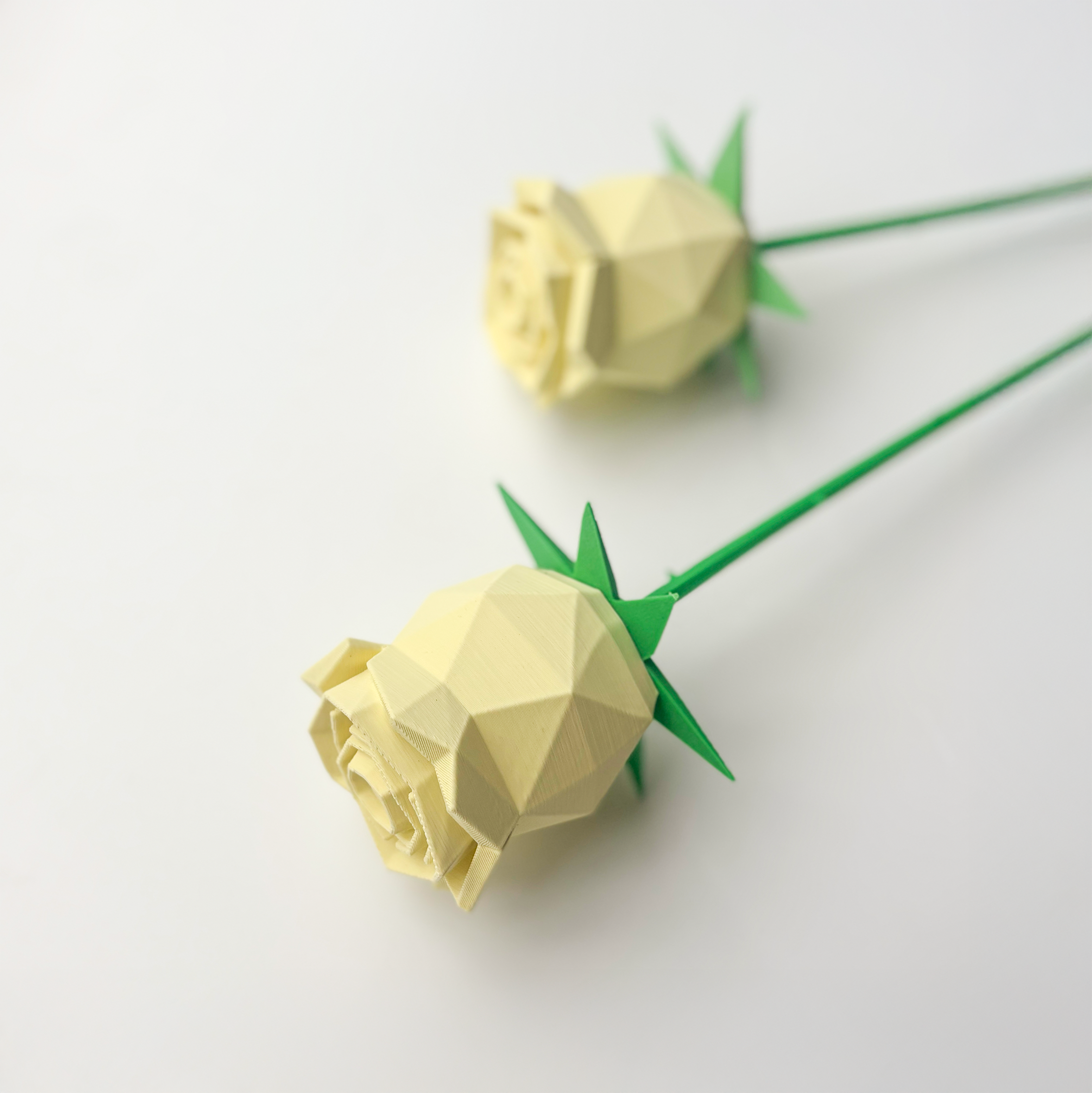 Rose Flower - Formasupra