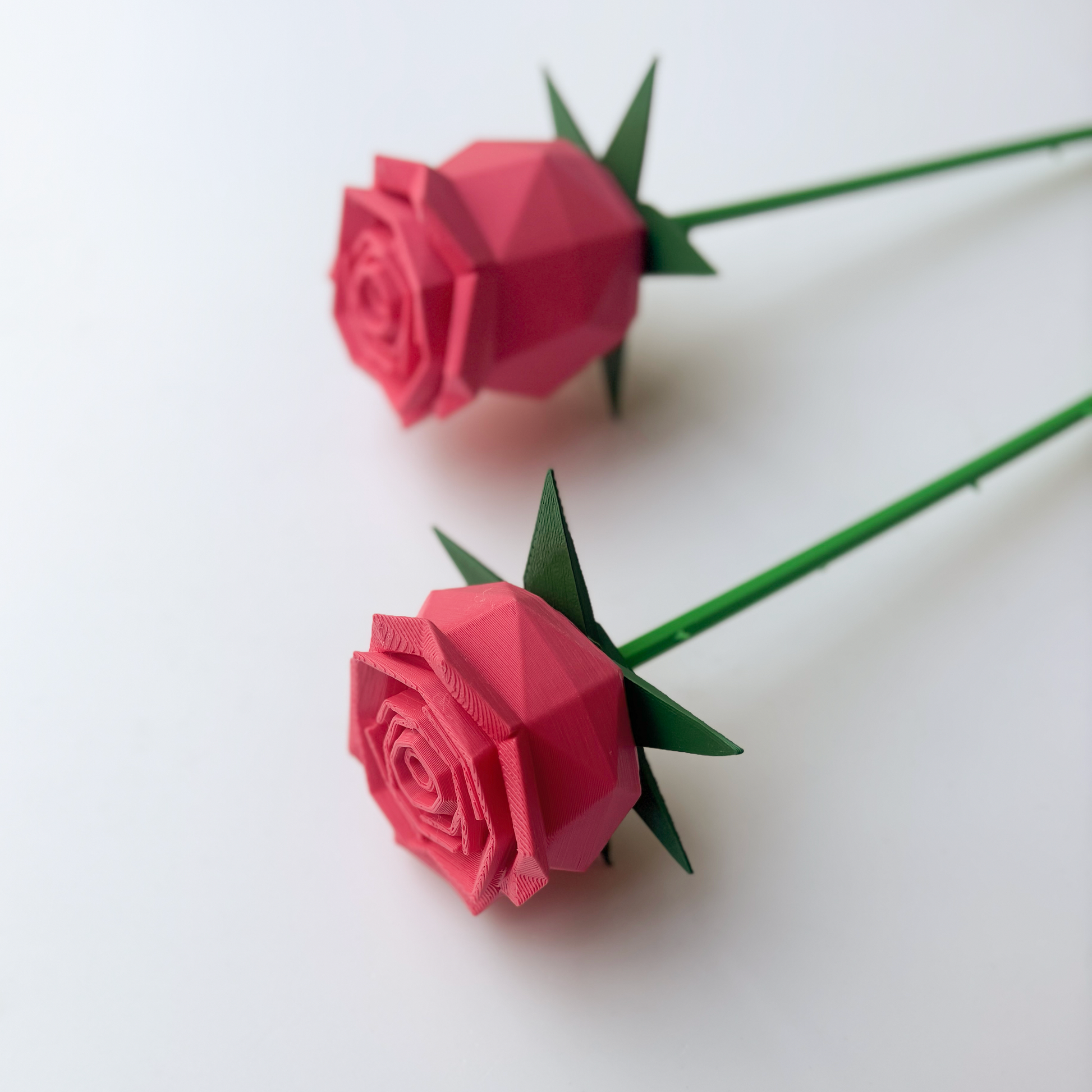 Rose Flower - Formasupra