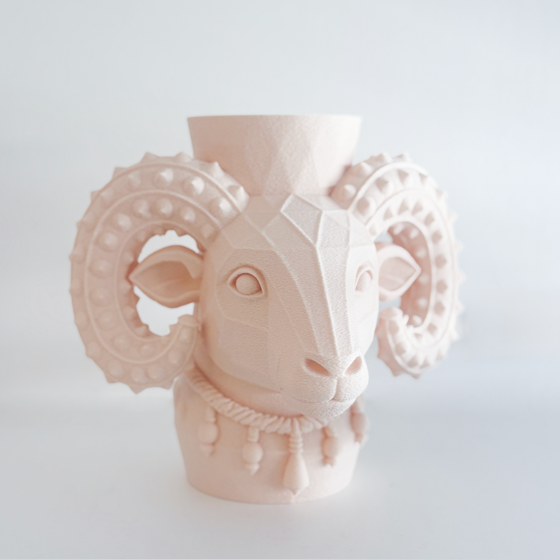 Ram Vase - Formasupra