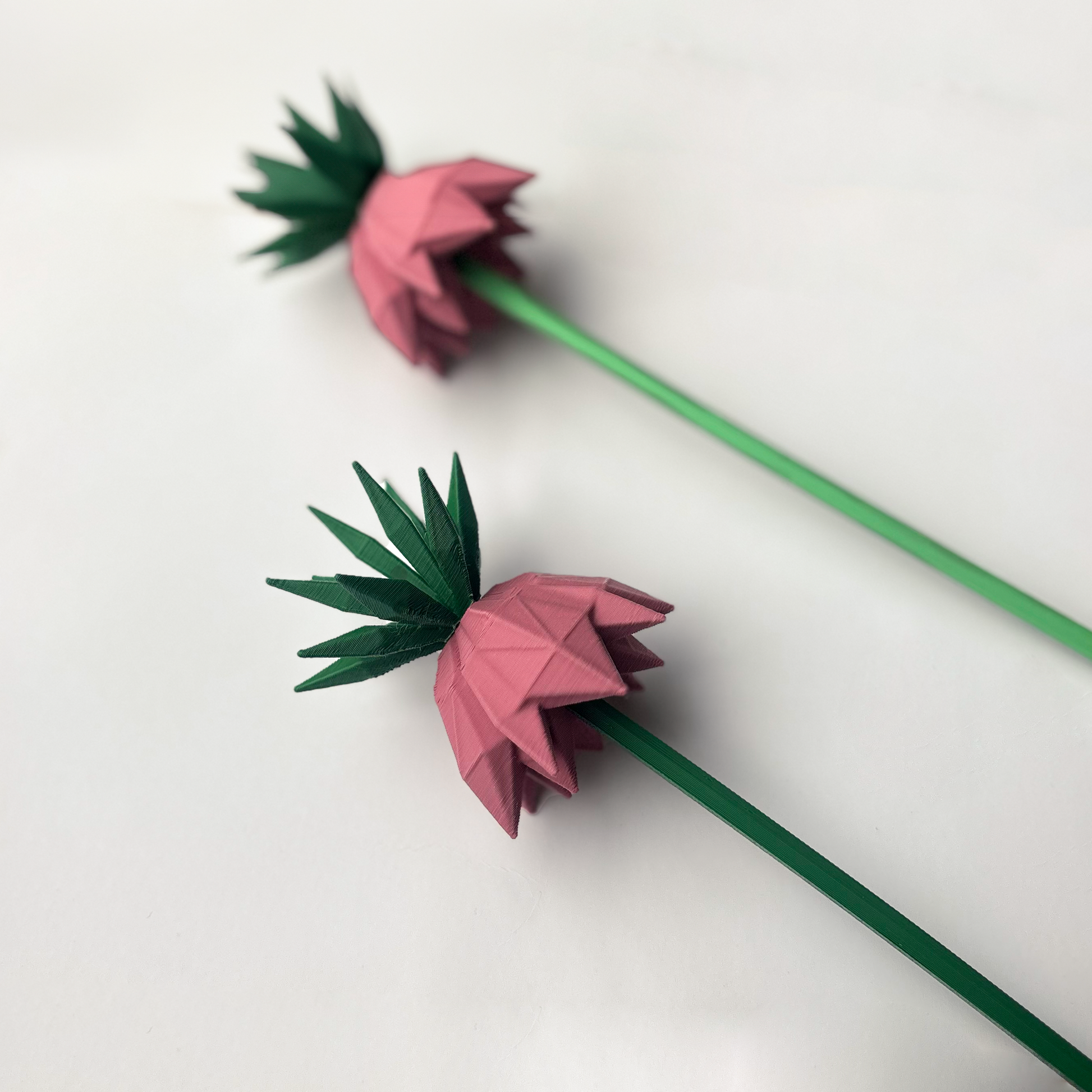 Upside Down Tulip Flower - Formasupra