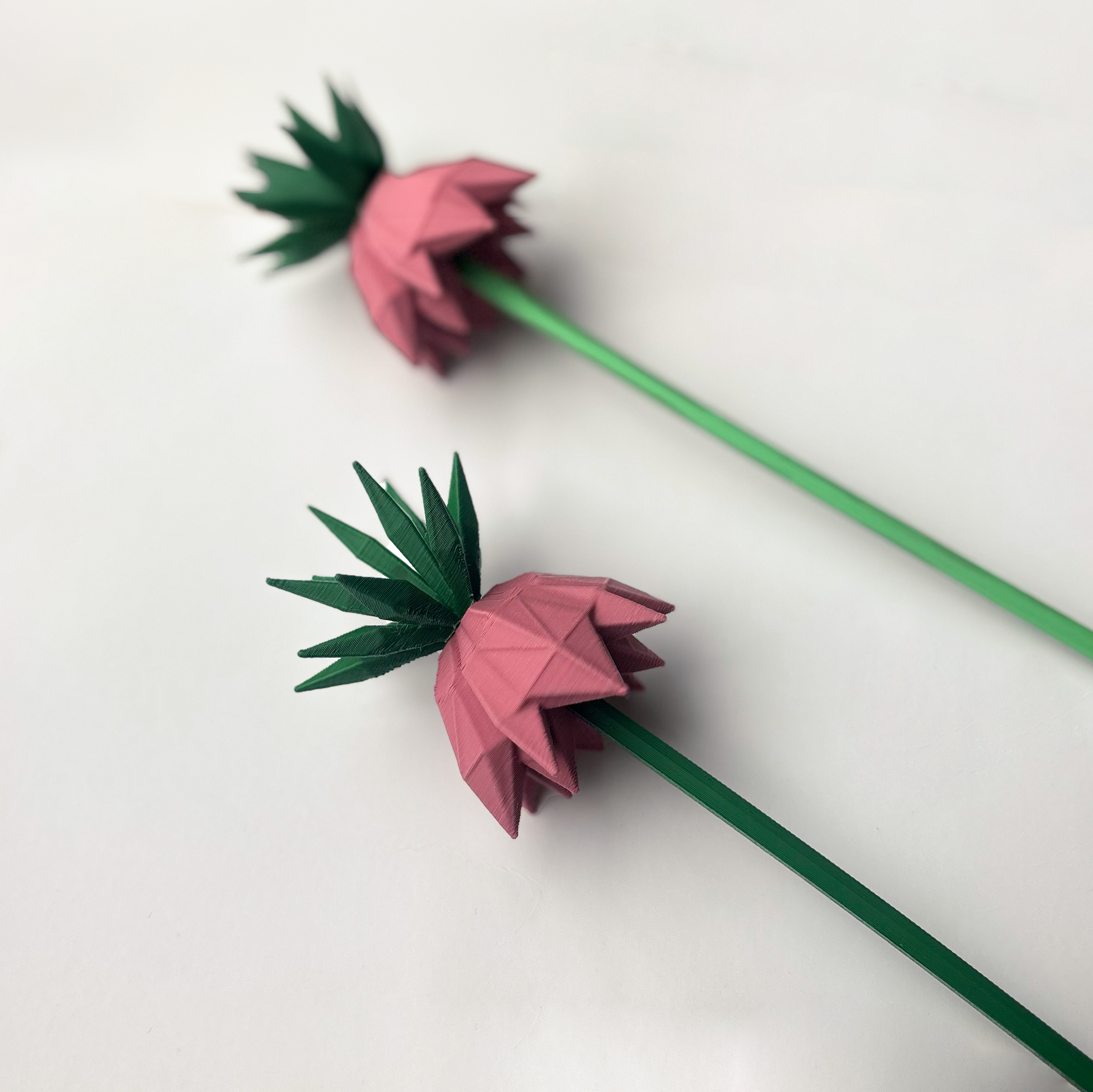 Upside Down Tulip Flower - Formasupra