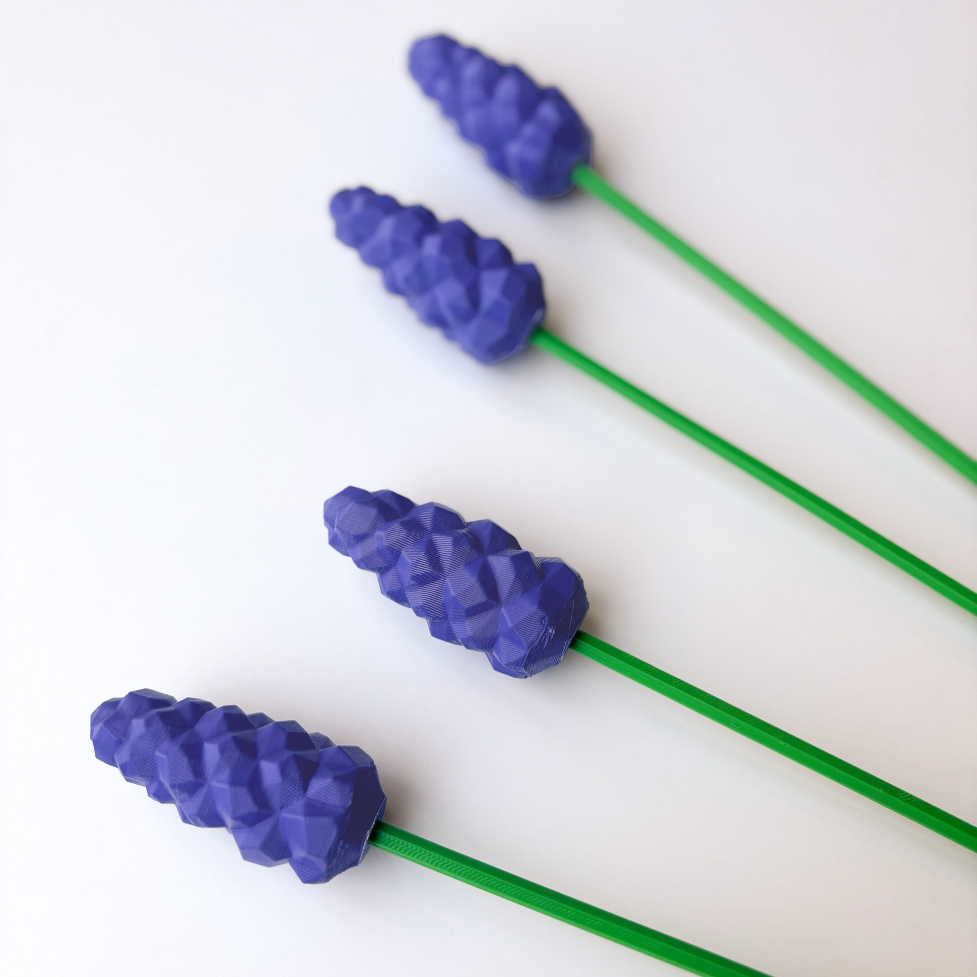 Hyacinth Flower - Formasupra