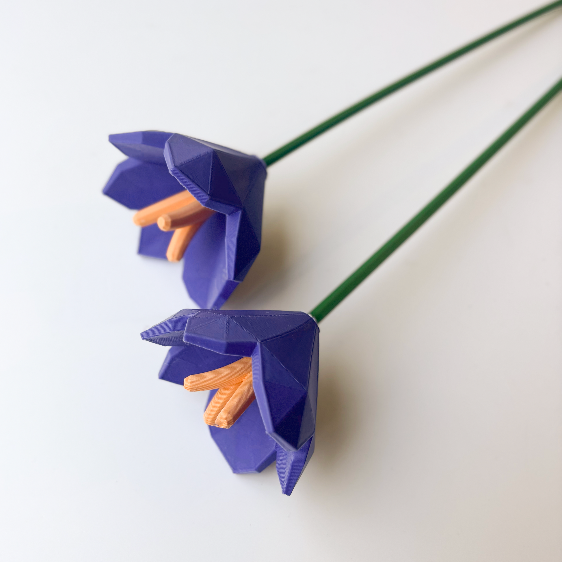 Saffron Flower - Formasupra