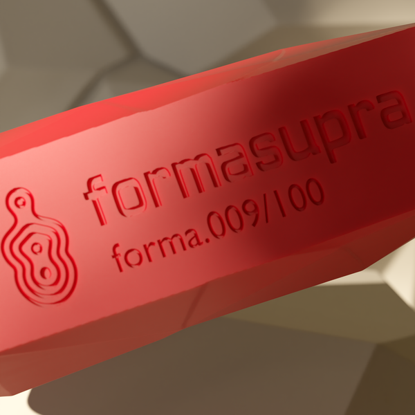 Forma Bag - Formasupra