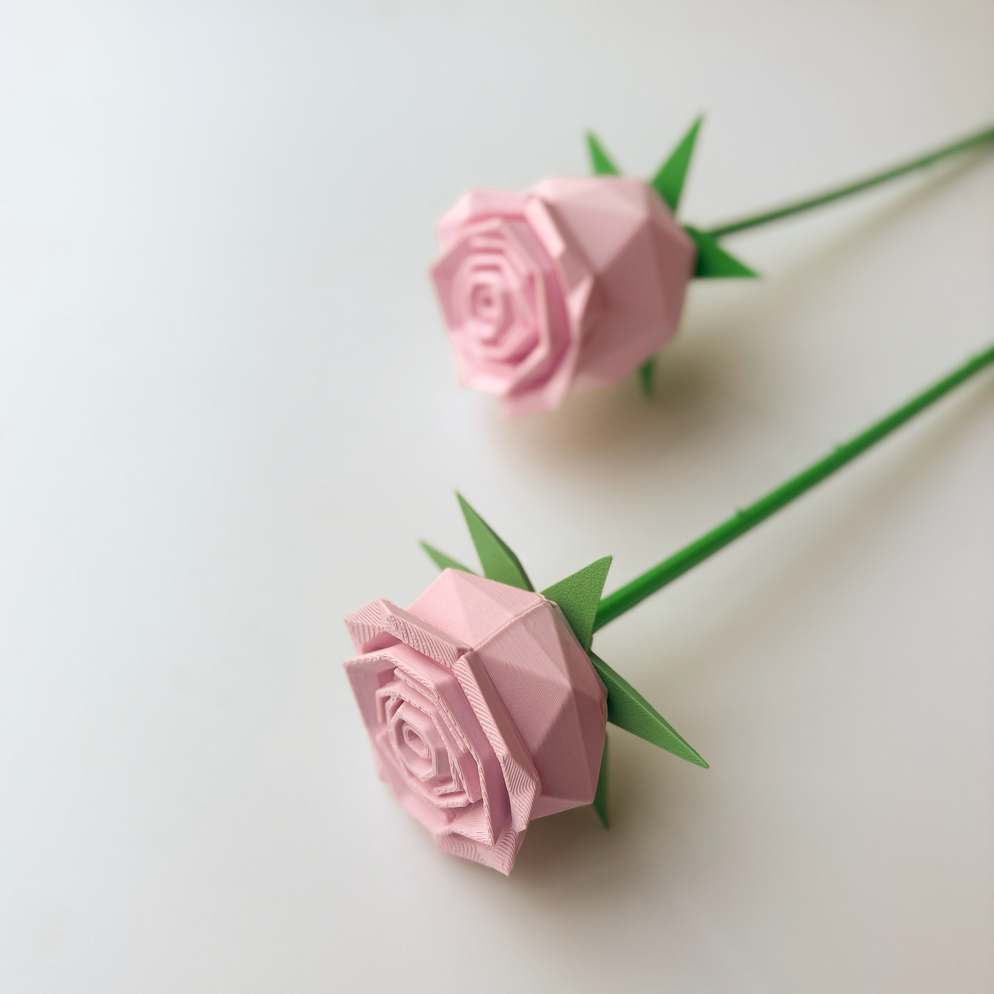 Rose Flower - Formasupra