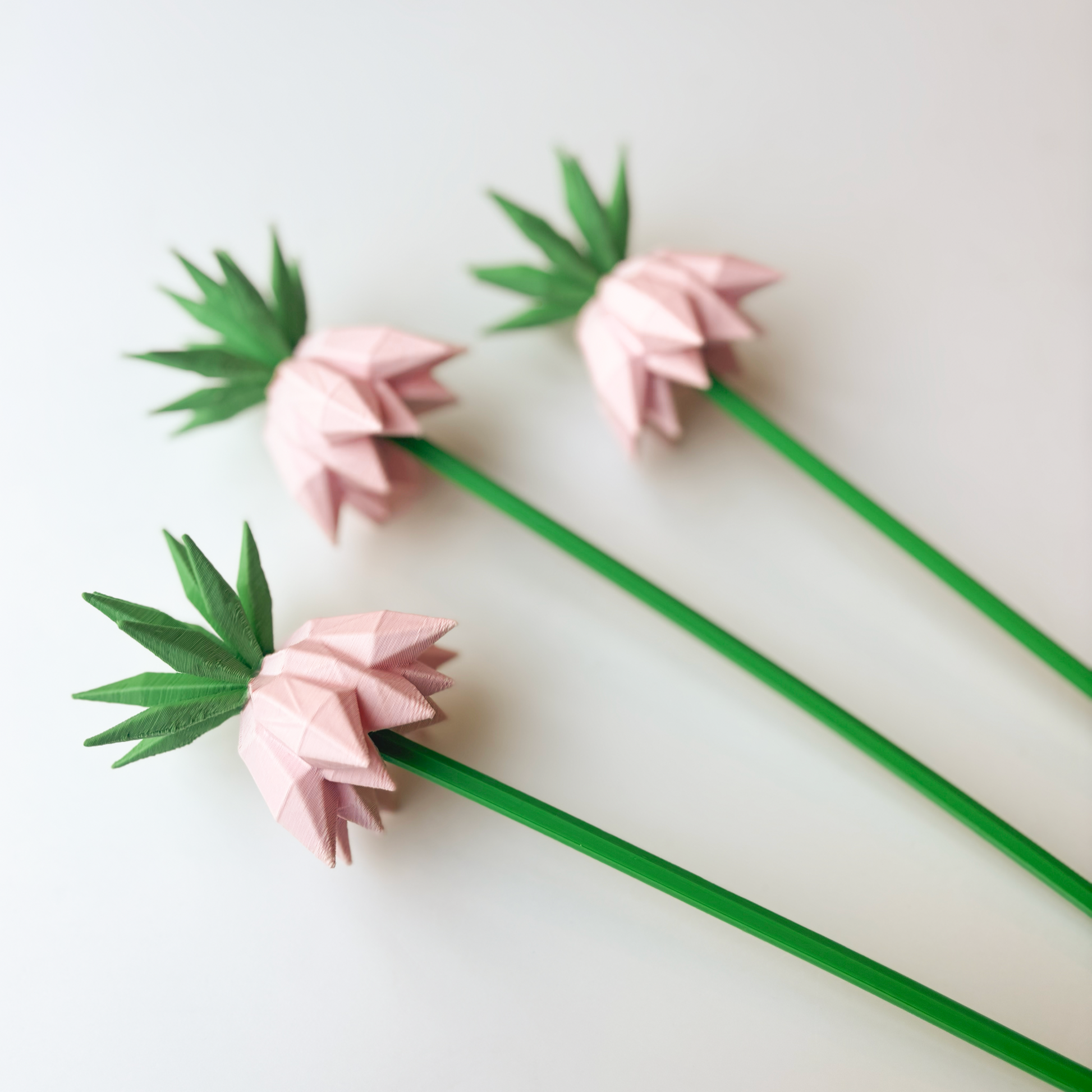 Upside Down Tulip Flower - Formasupra