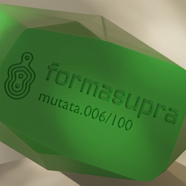Mutata Bag - Formasupra