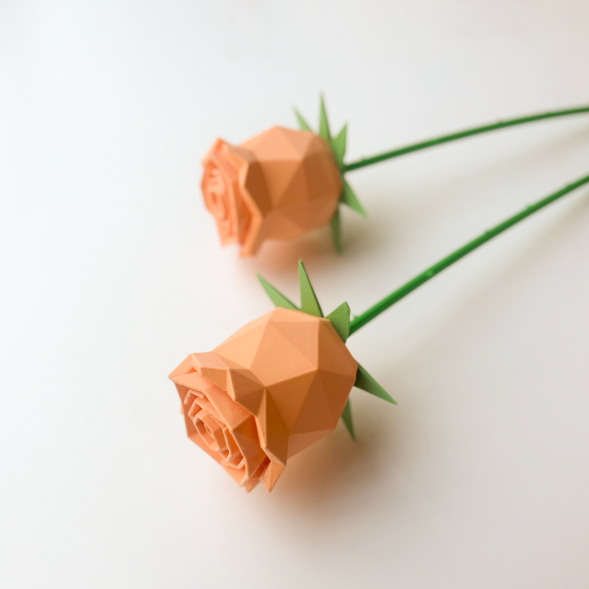 Rose Flower - Formasupra