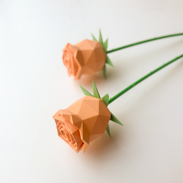 Rose Flower - Formasupra