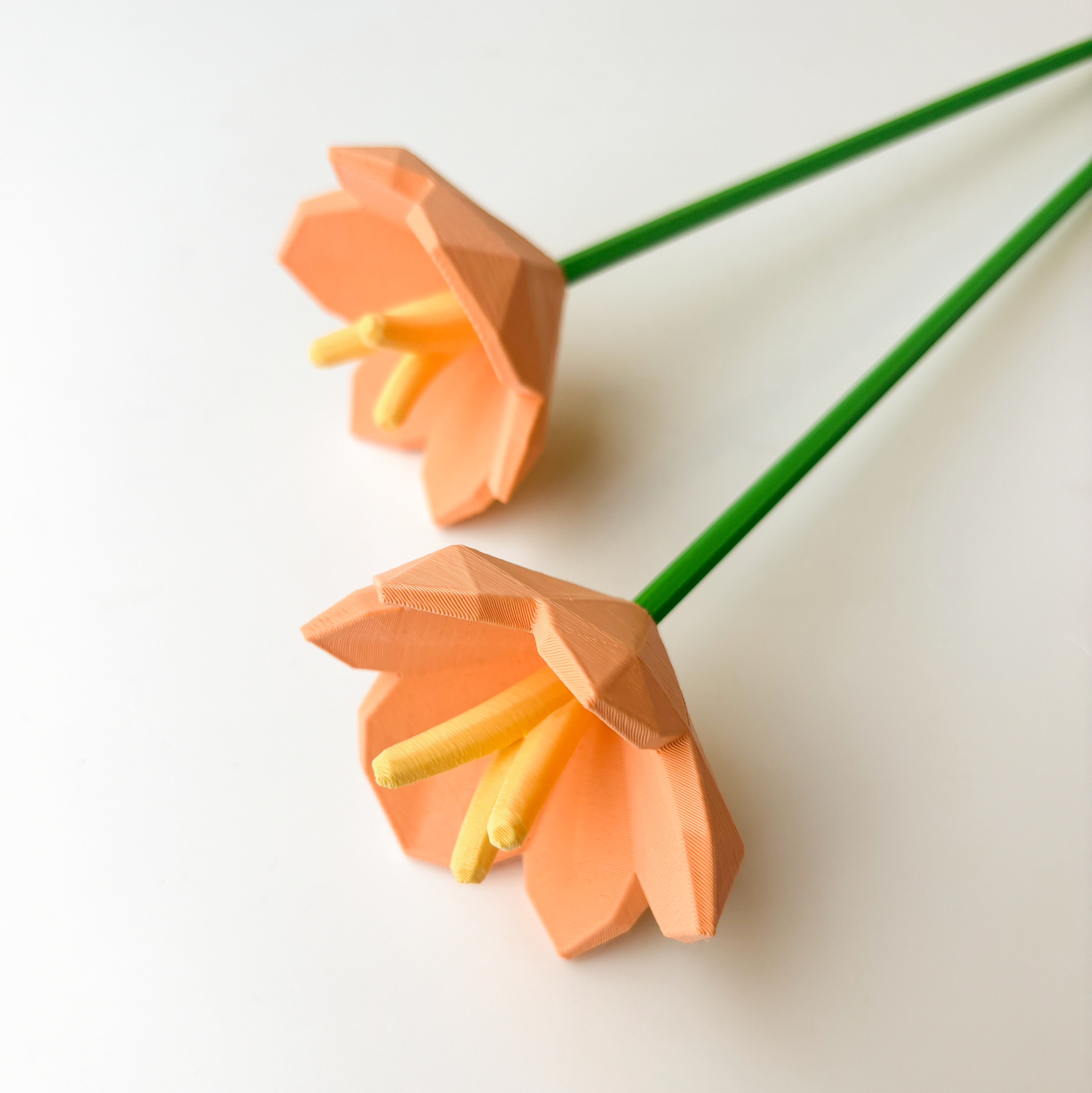 Saffron Flower - Formasupra