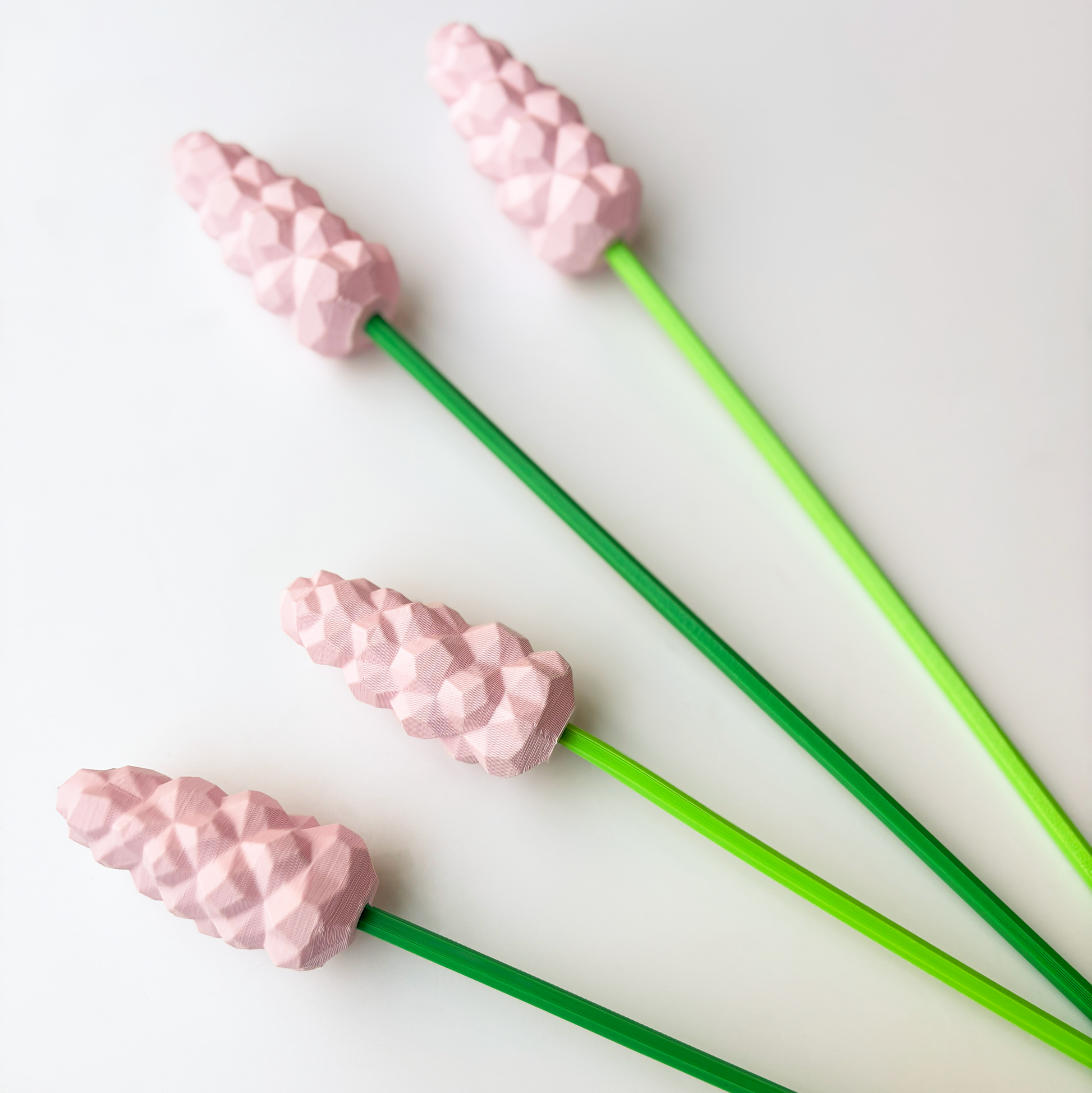 Hyacinth Flower - Formasupra