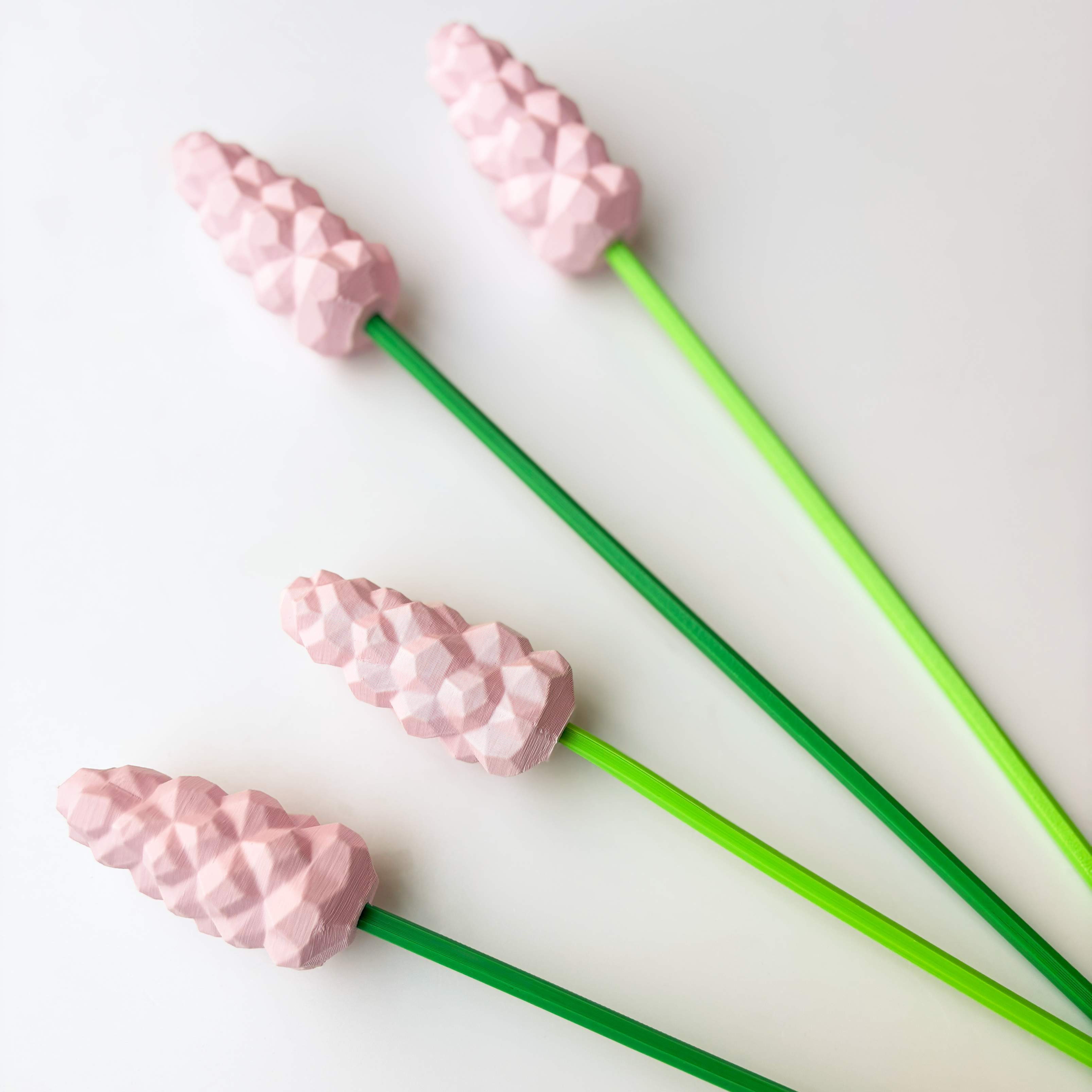 Hyacinth Flower - Formasupra
