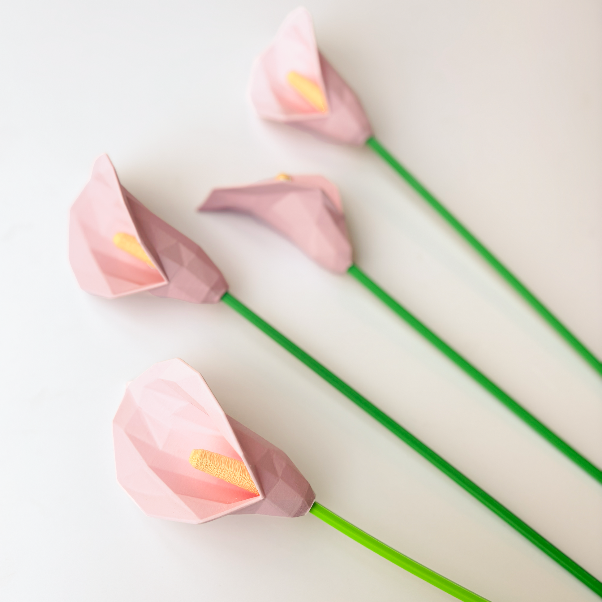 Lily Flower - Formasupra
