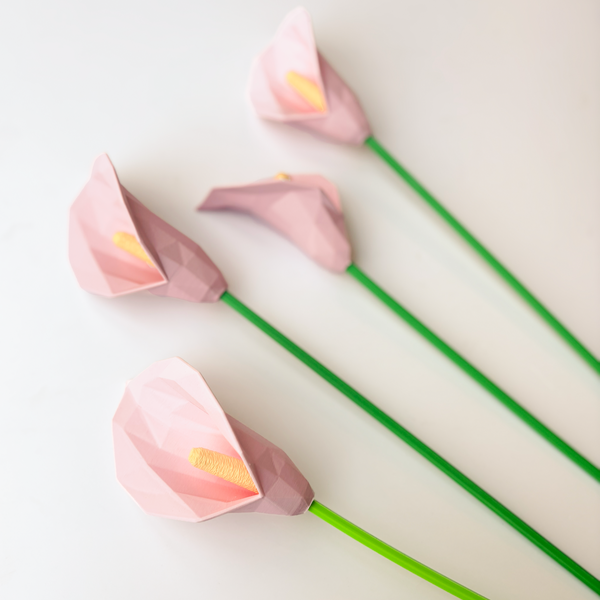 Lily Flower - Formasupra