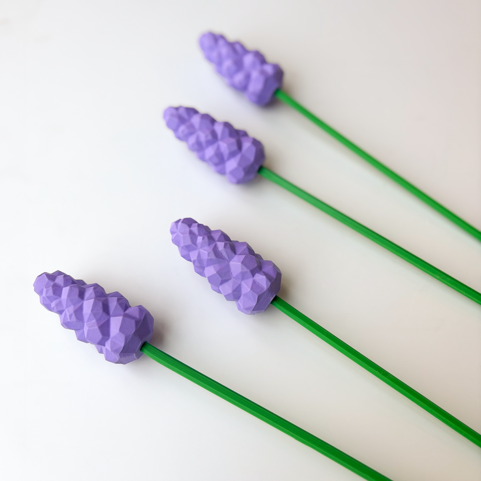 Hyacinth Flower - Formasupra