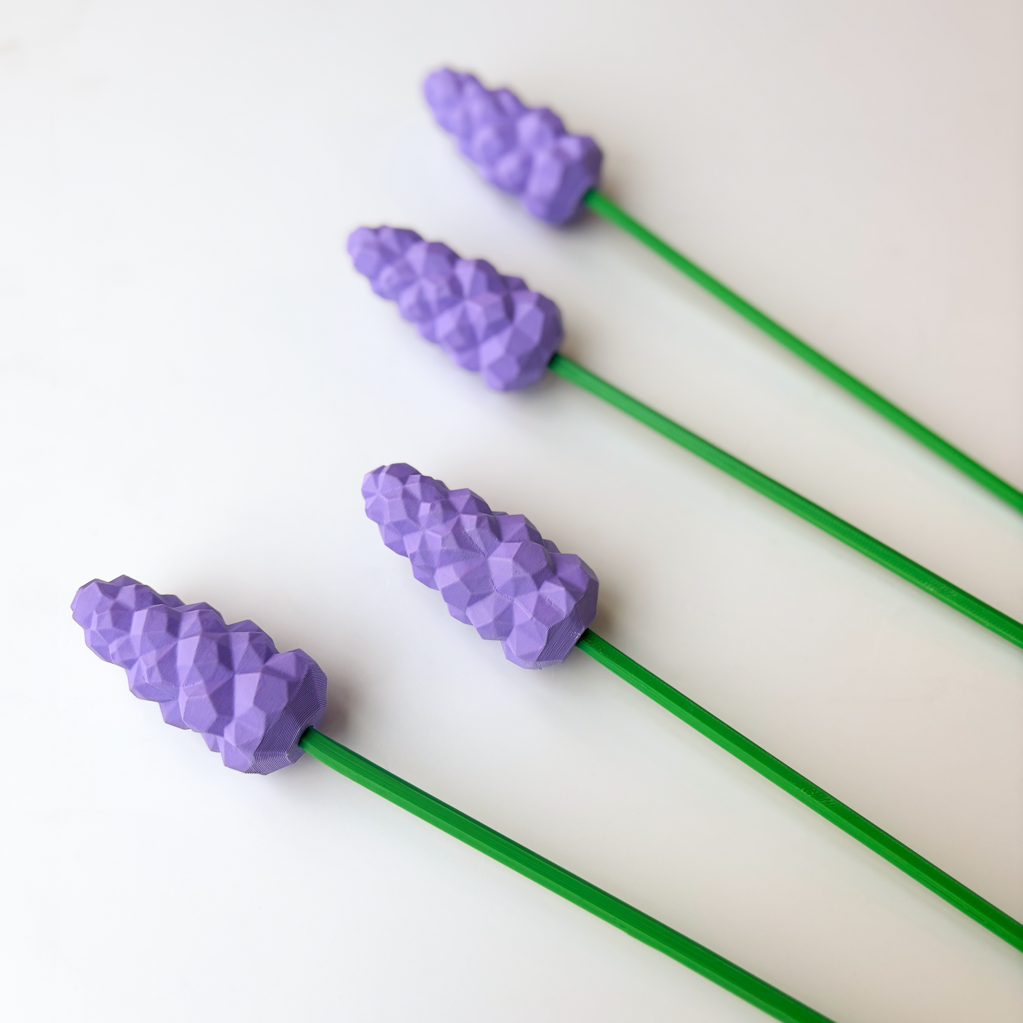 Hyacinth Flower - Formasupra