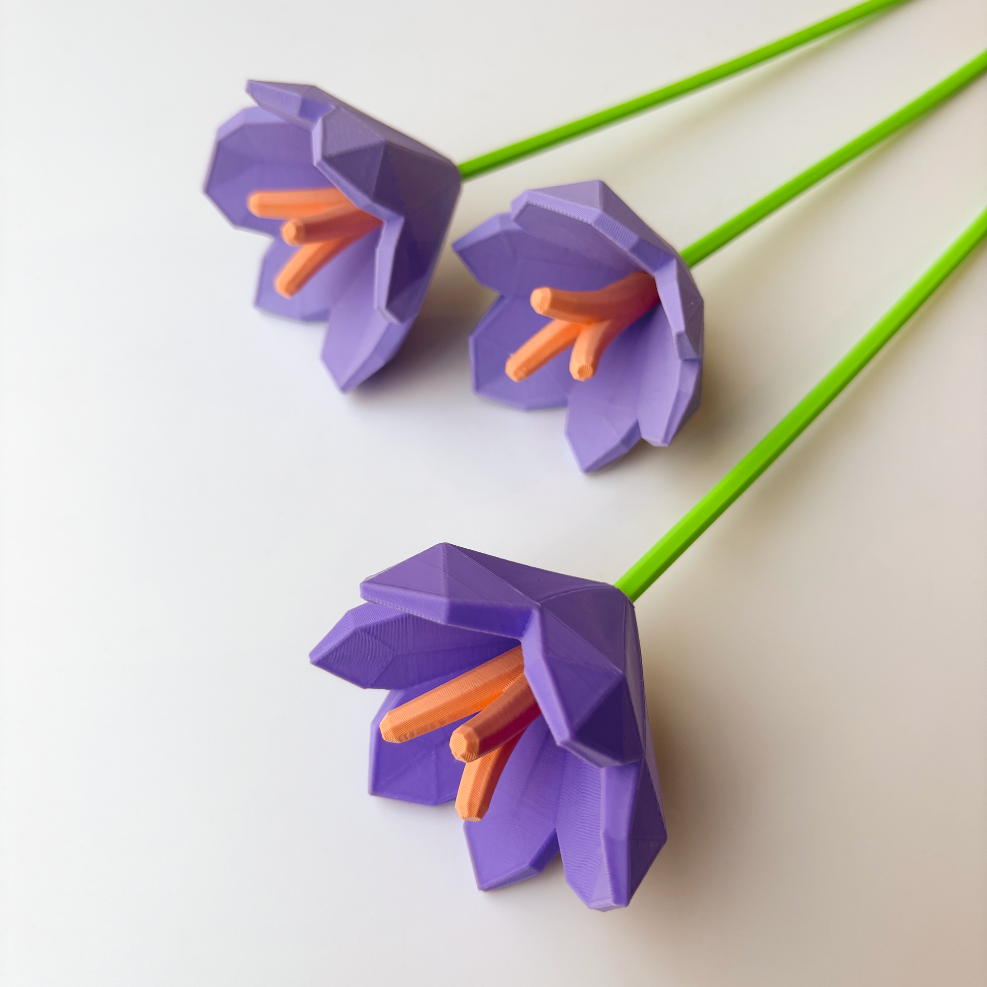 Saffron Flower - Formasupra