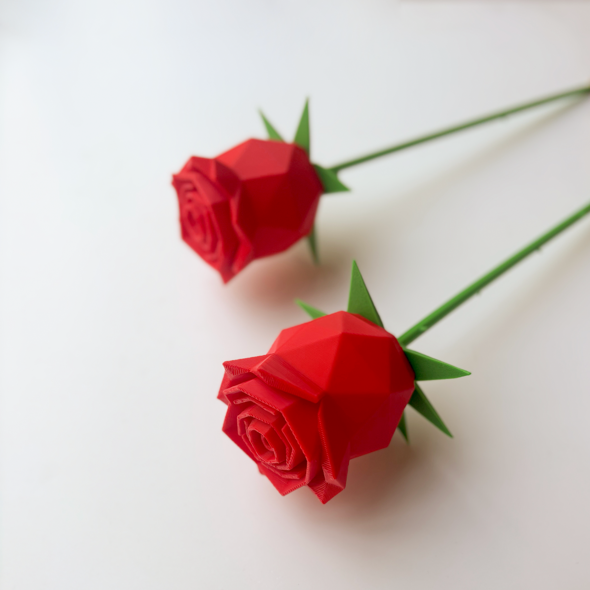 Rose Flower - Formasupra