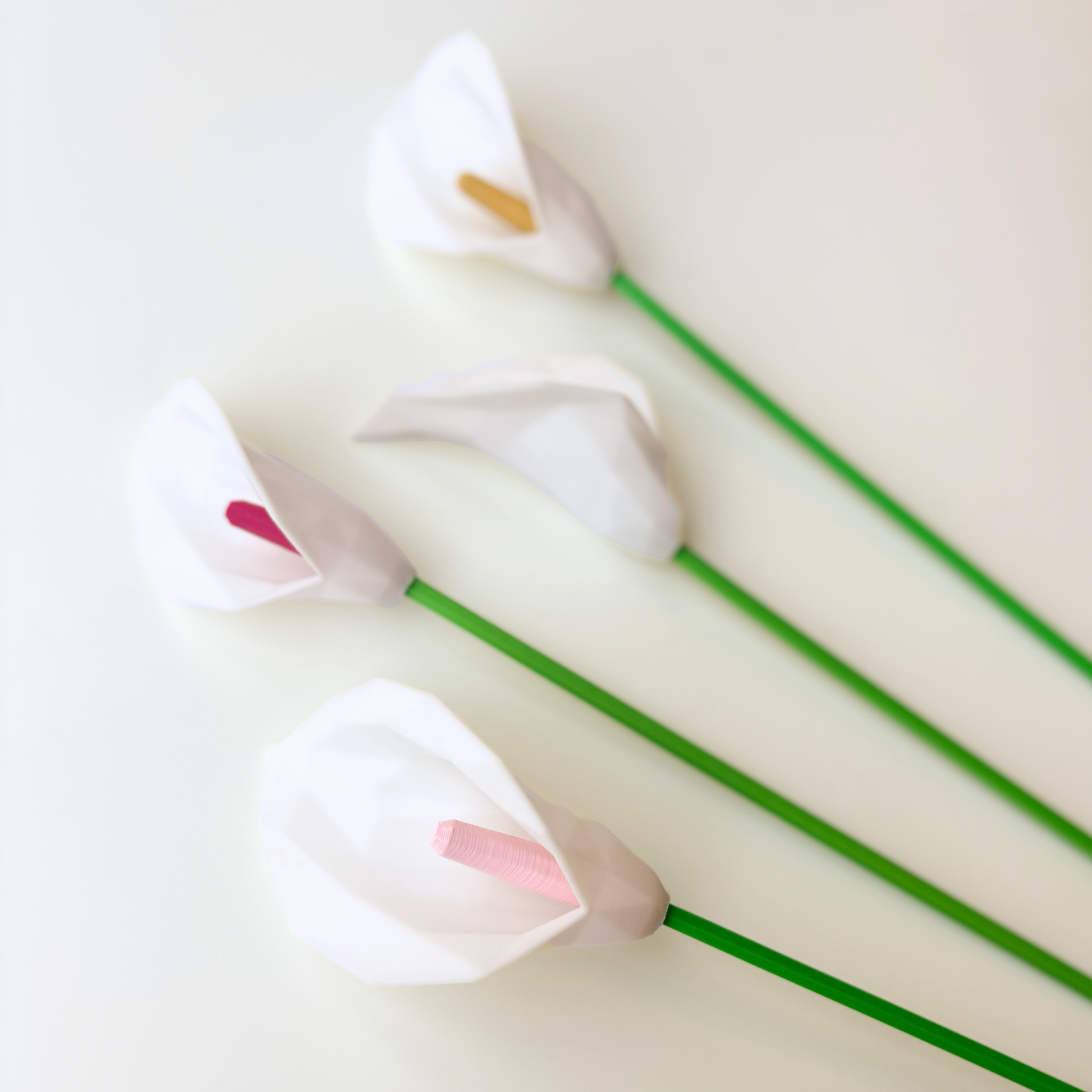 Lily Flower - Formasupra