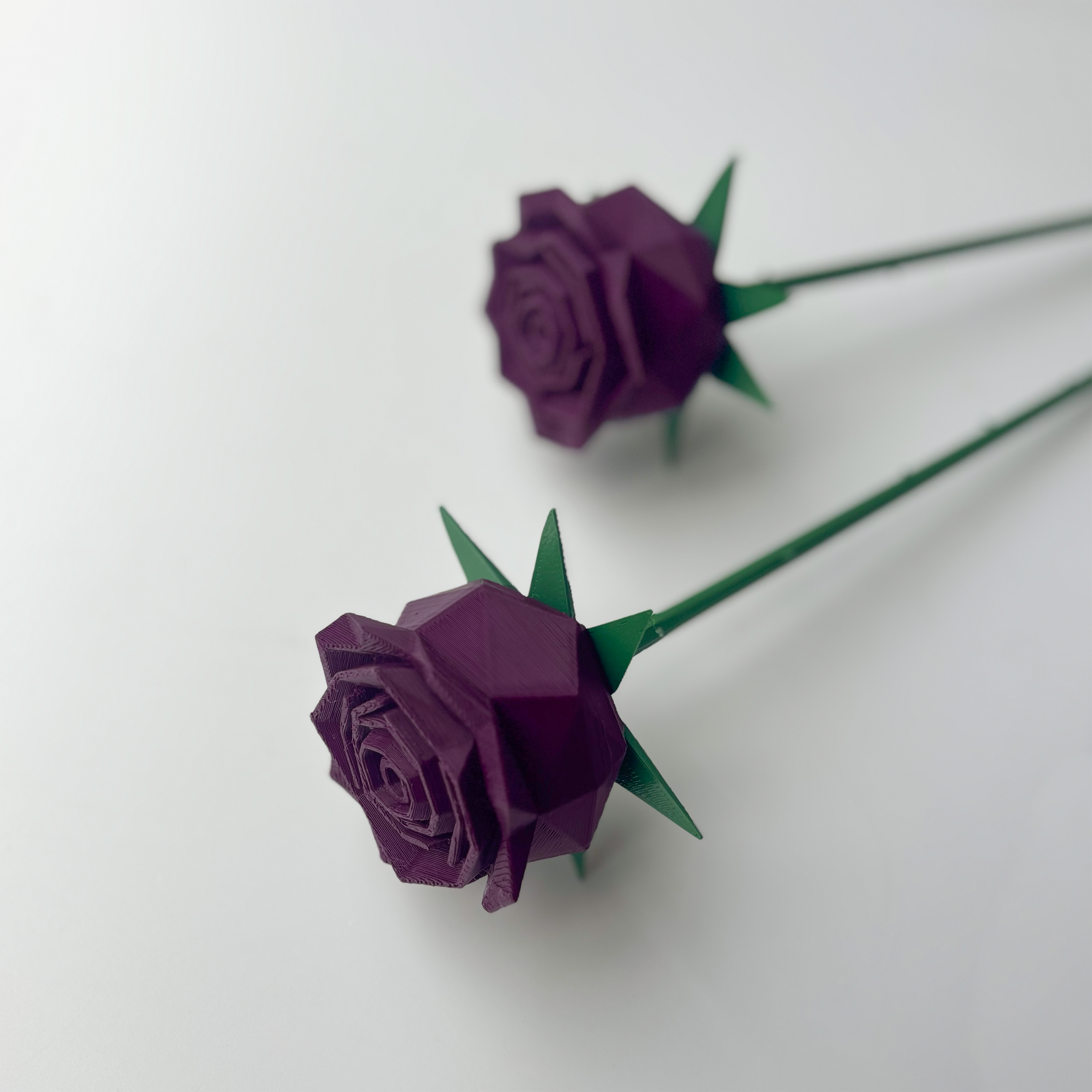 Rose Flower - Formasupra
