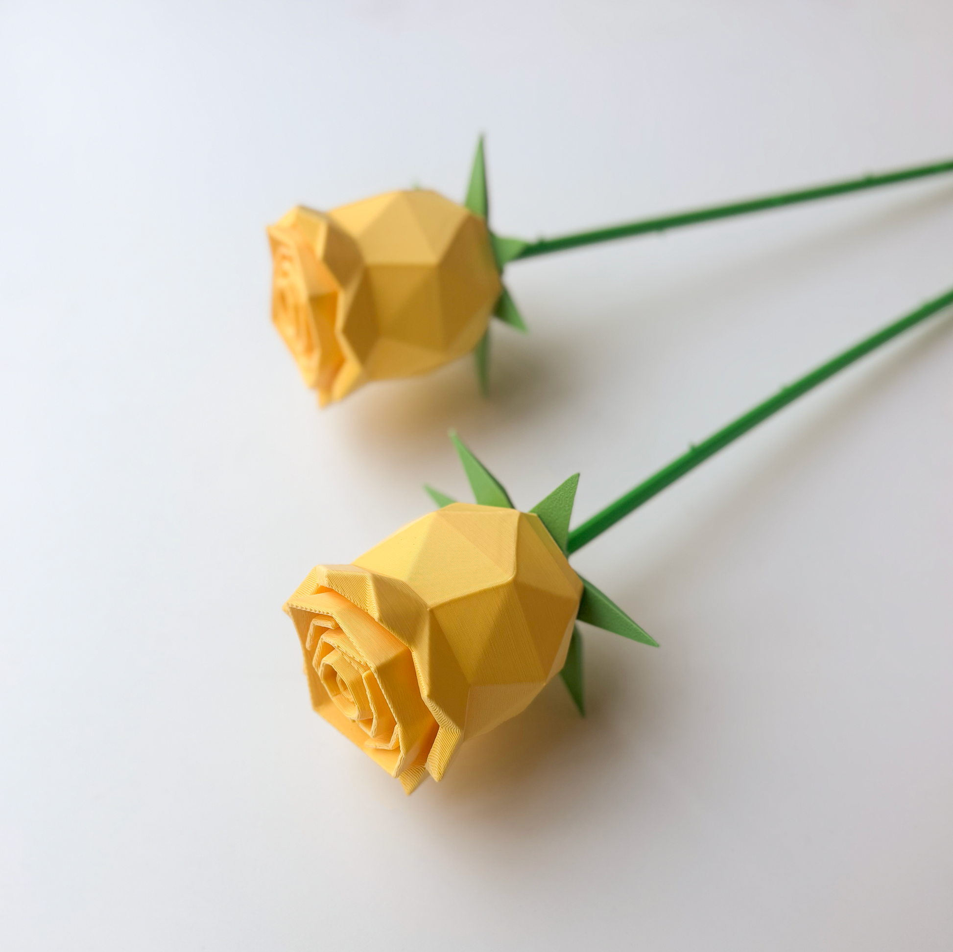 Rose Flower - Formasupra