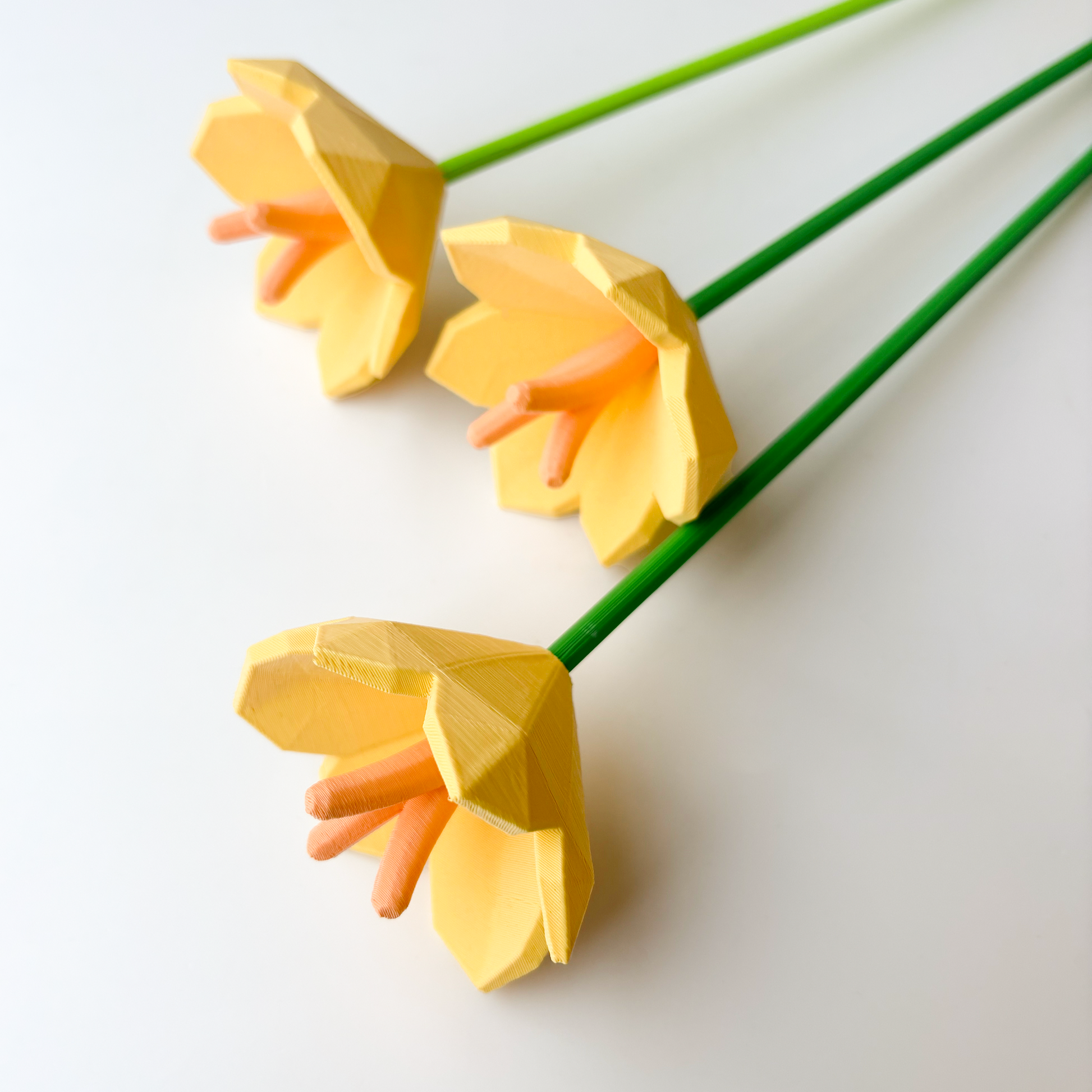 Saffron Flower - Formasupra